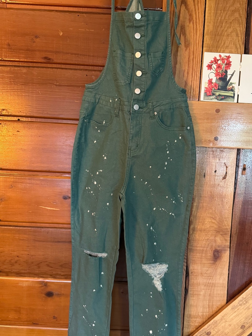 easel NWT Green Distressed Painter-Style Overalls